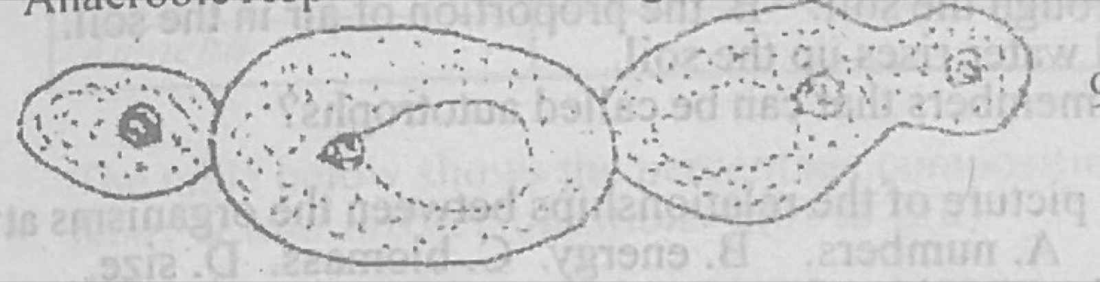 Diagram for this question