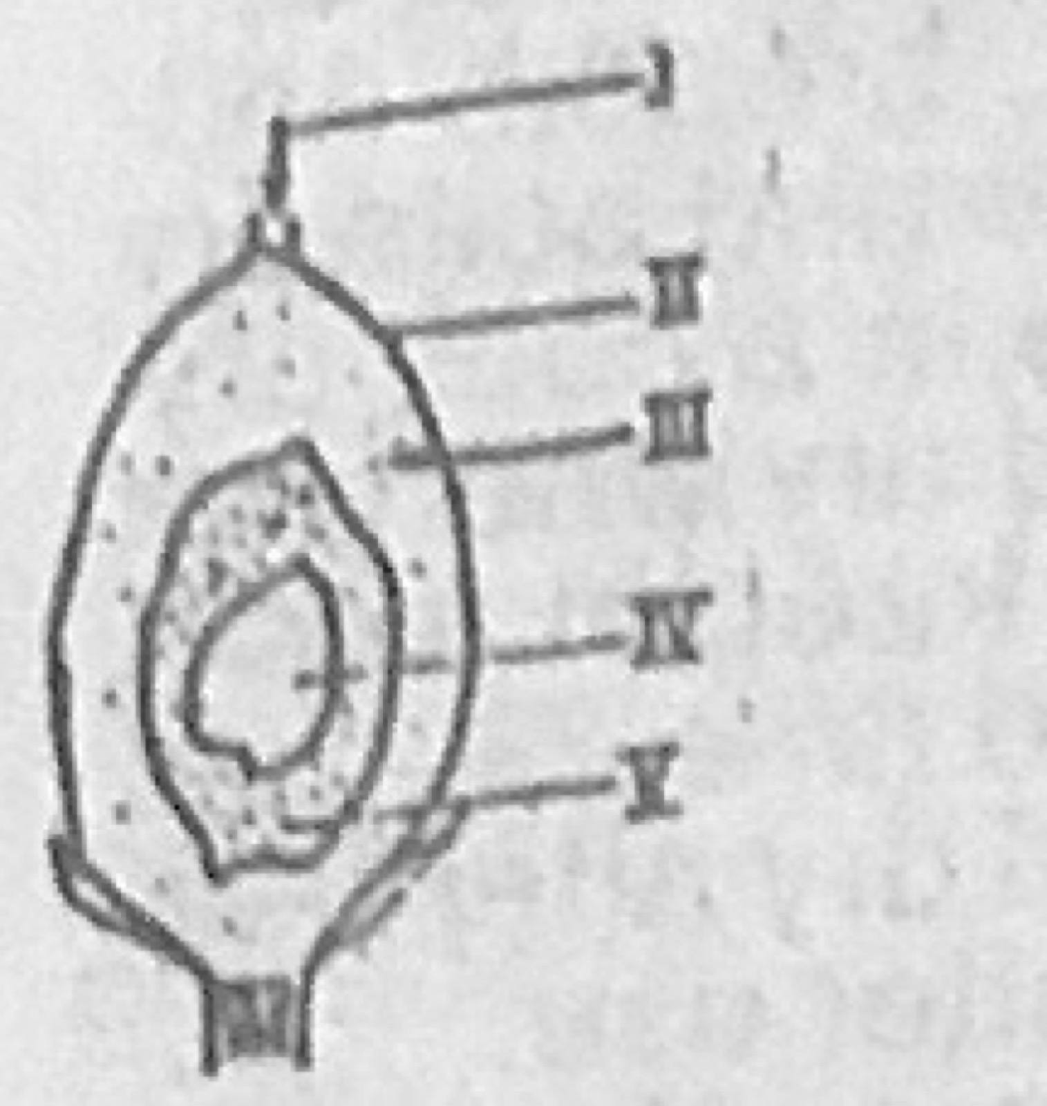 Diagram for this question
