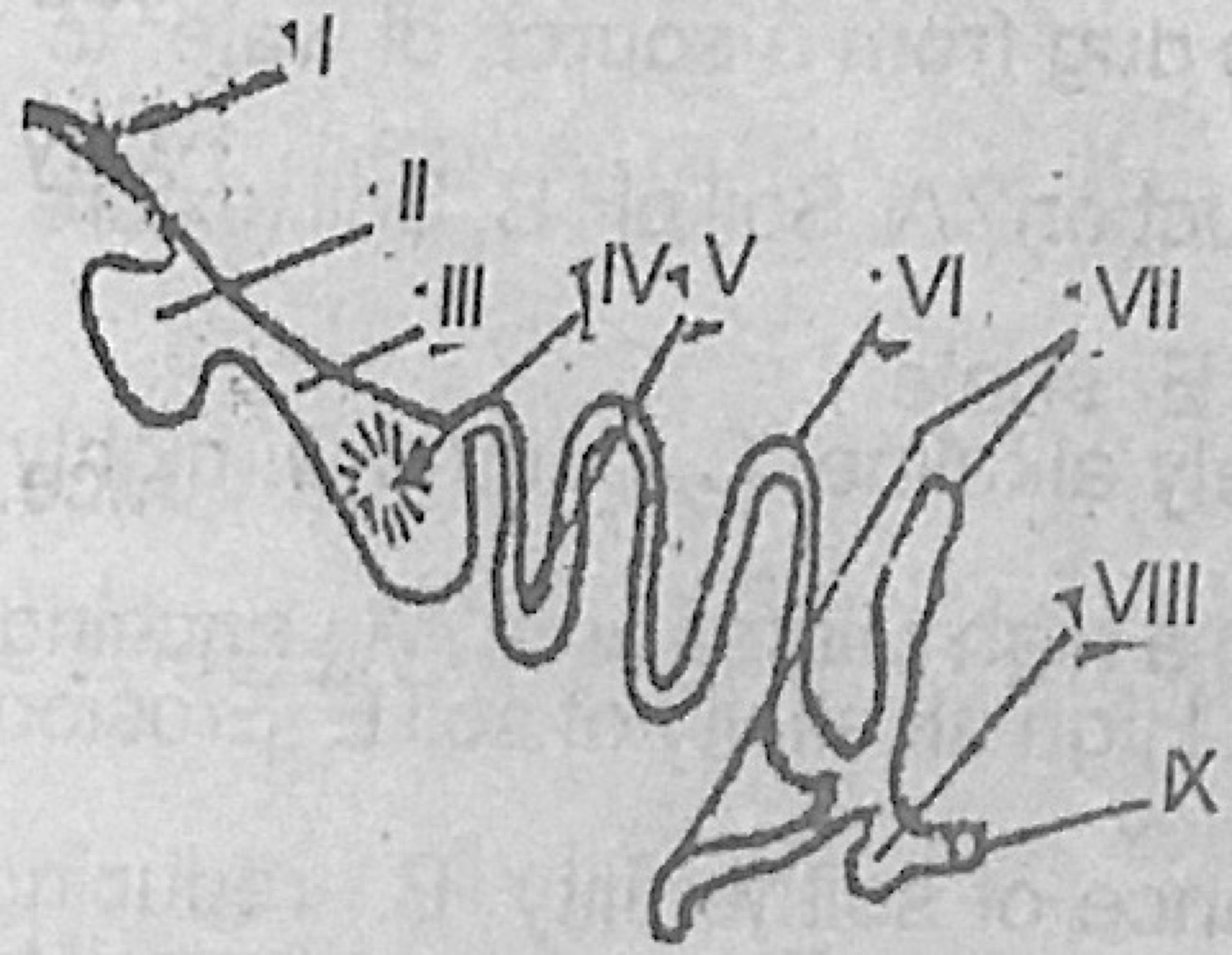 Diagram for this question
