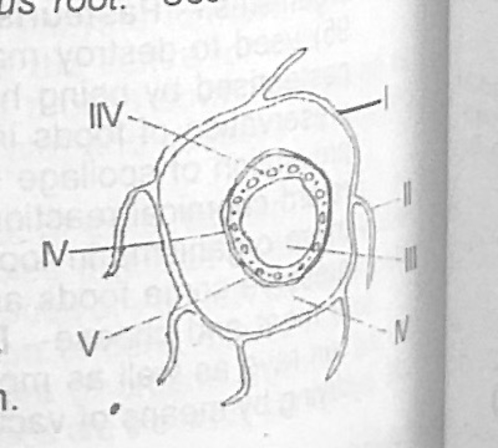 Diagram for this question