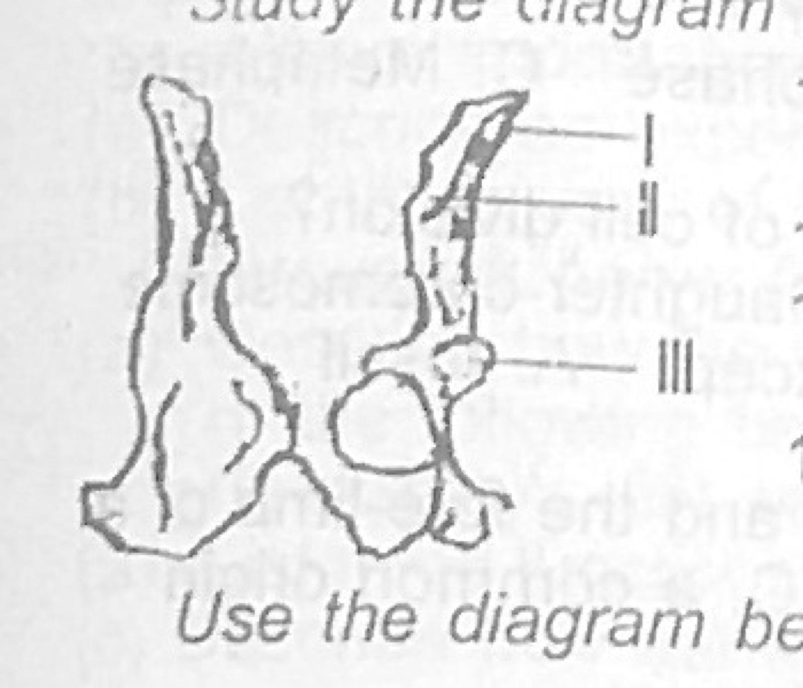 Diagram for this question