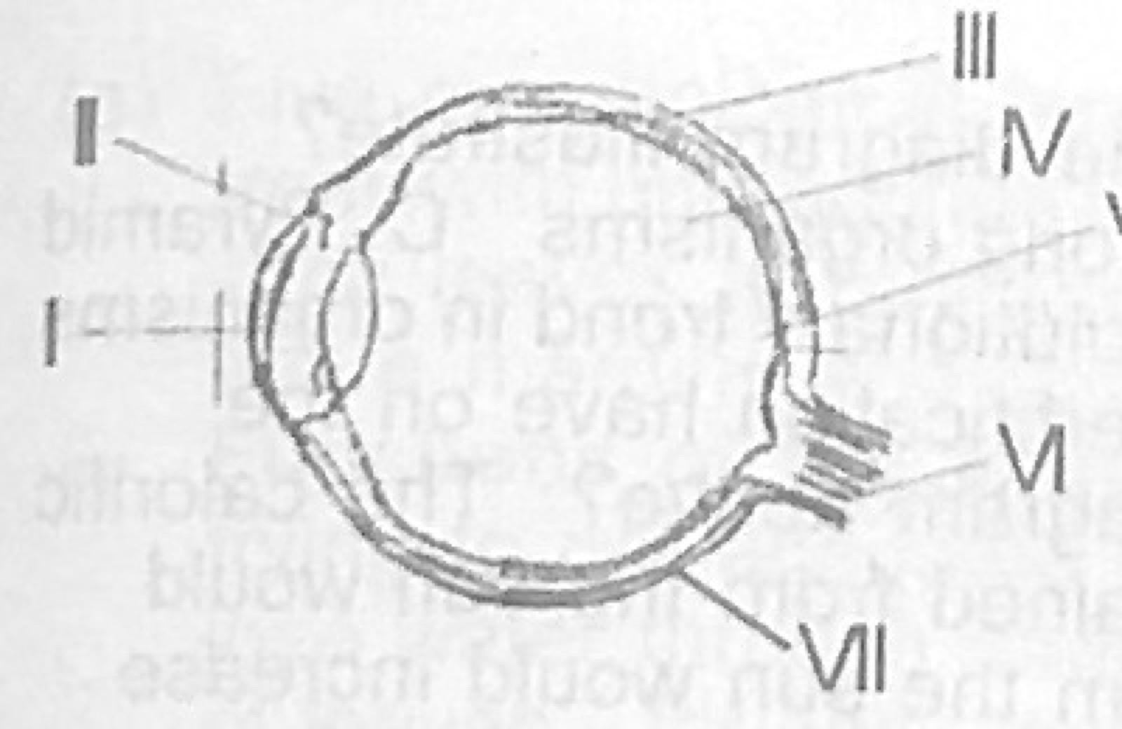 Diagram for this question
