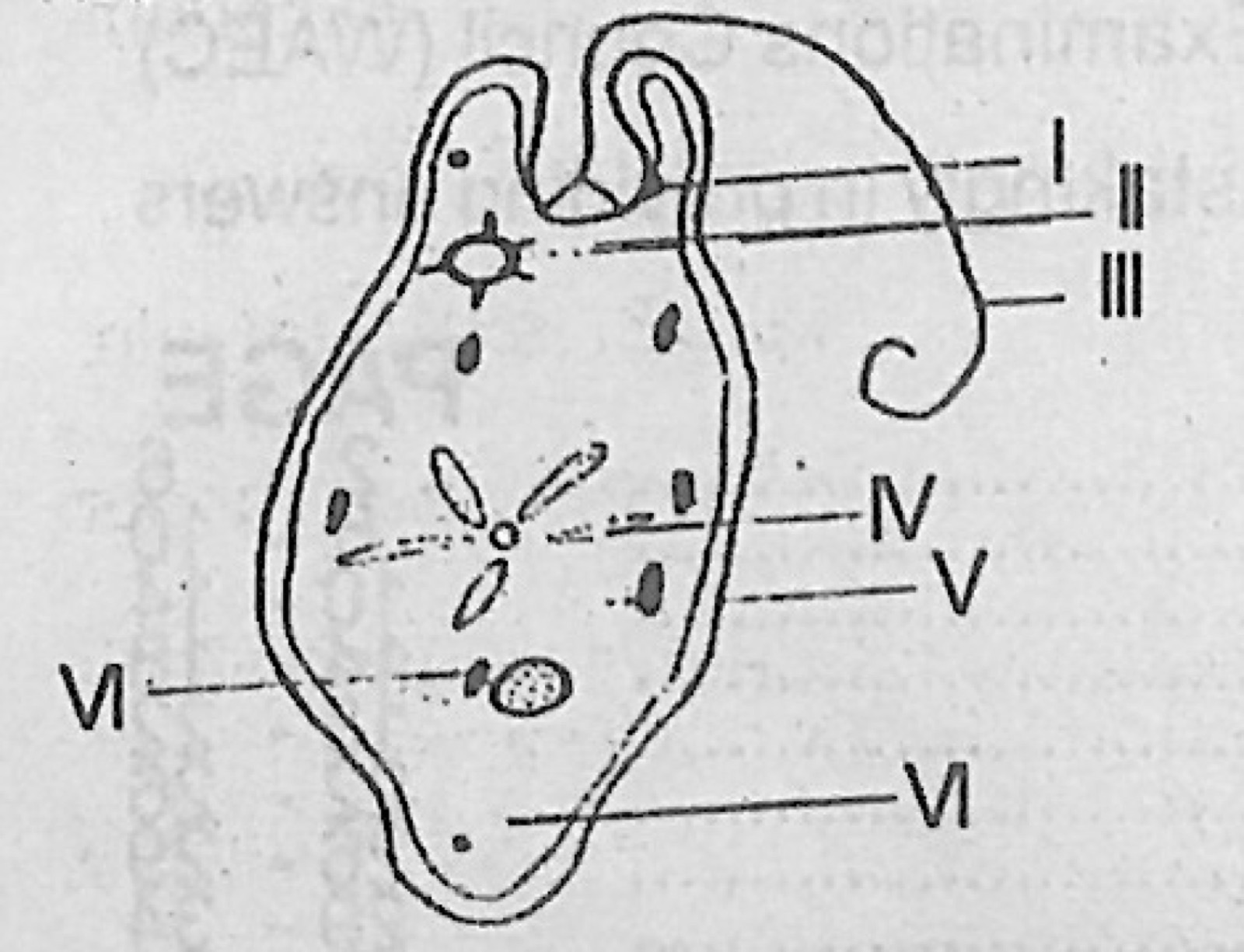 Diagram for this question