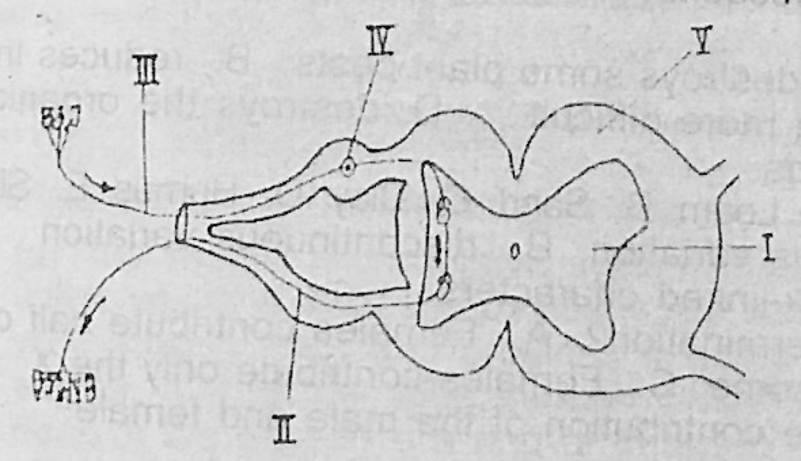 Diagram for this question