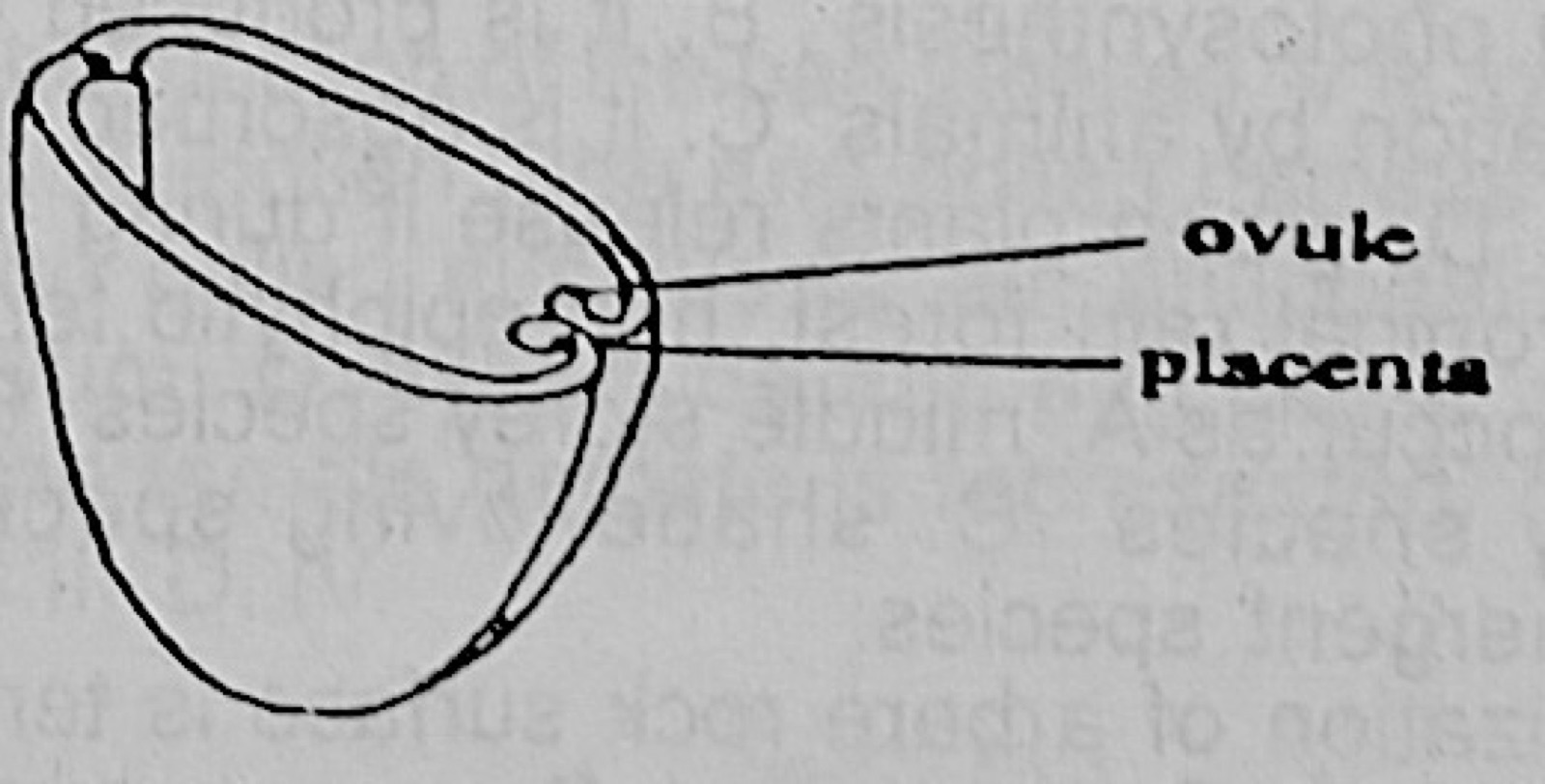 Diagram for this question