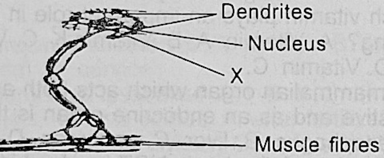 Diagram for this question