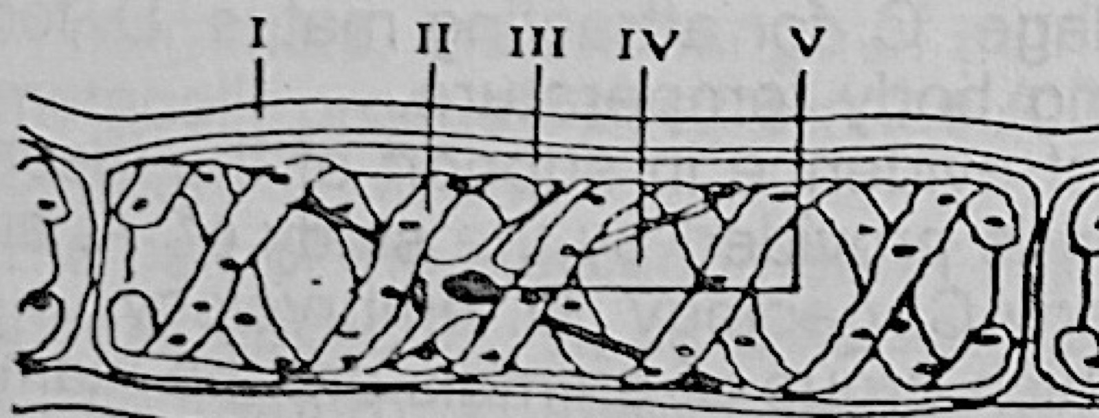 Diagram for this question
