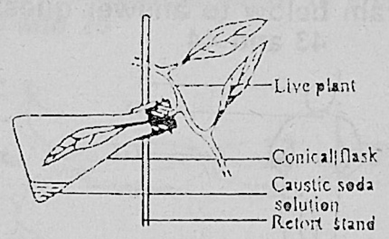 Diagram for this question