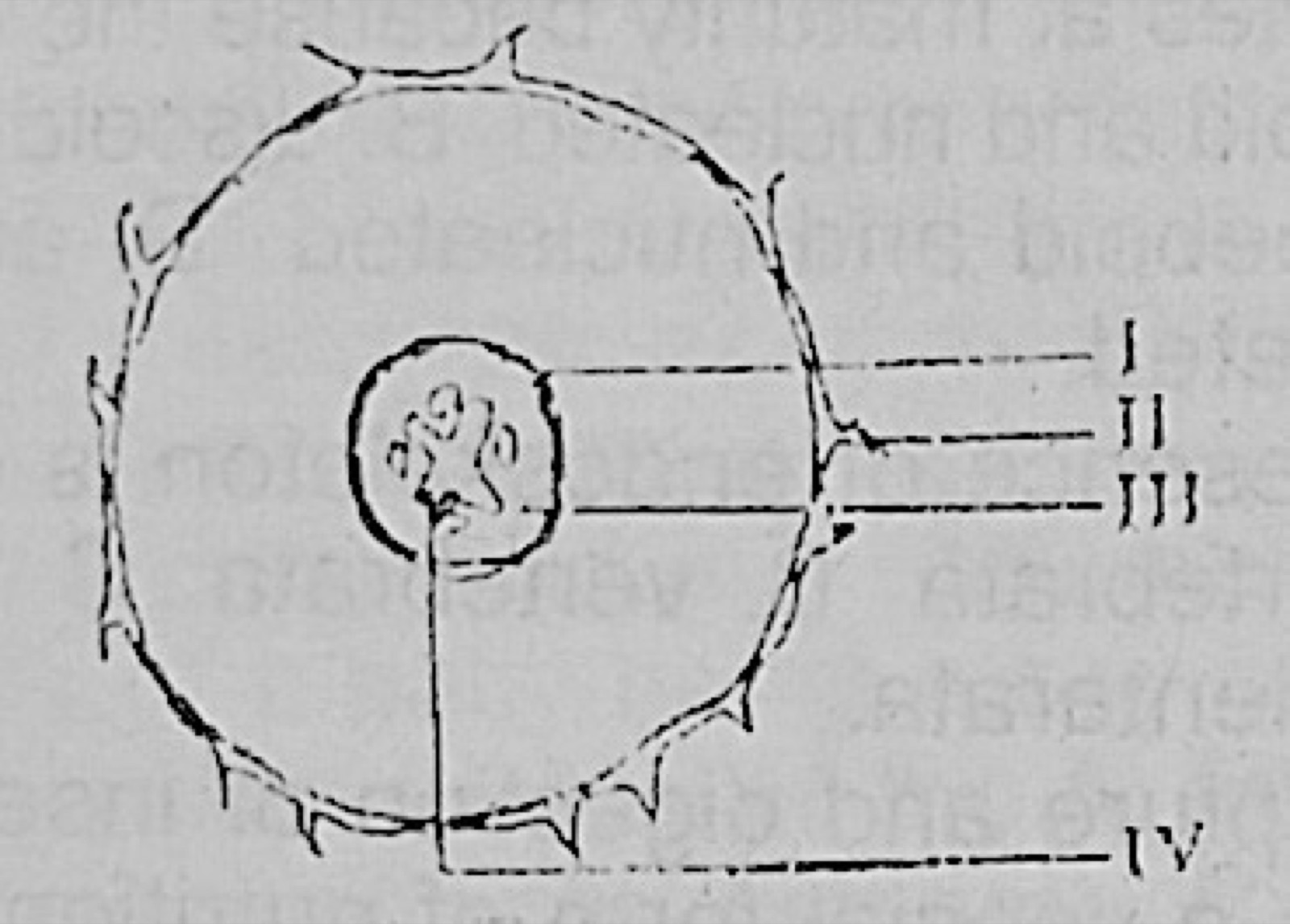 Diagram for this question