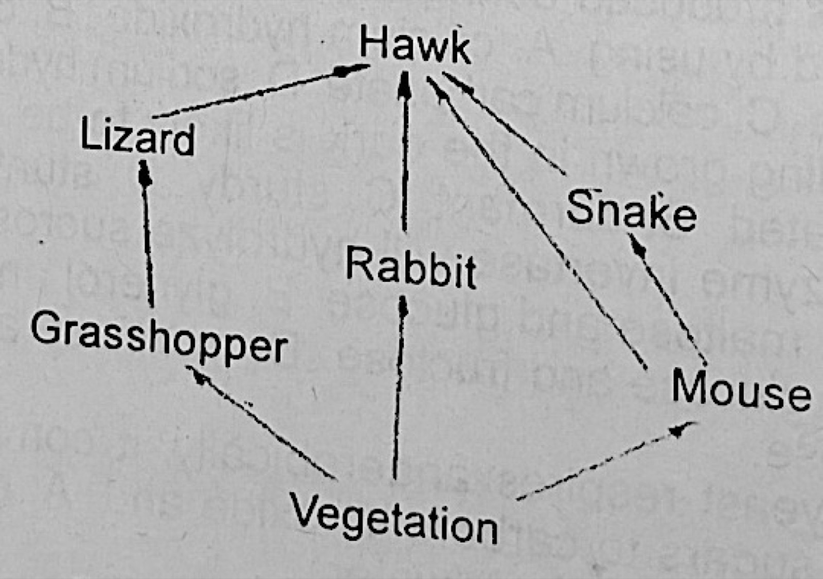 Diagram for this question