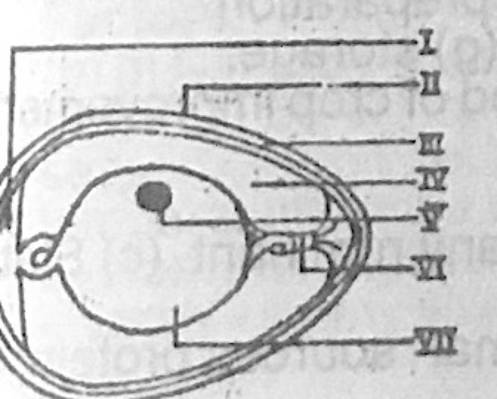 Diagram for this question