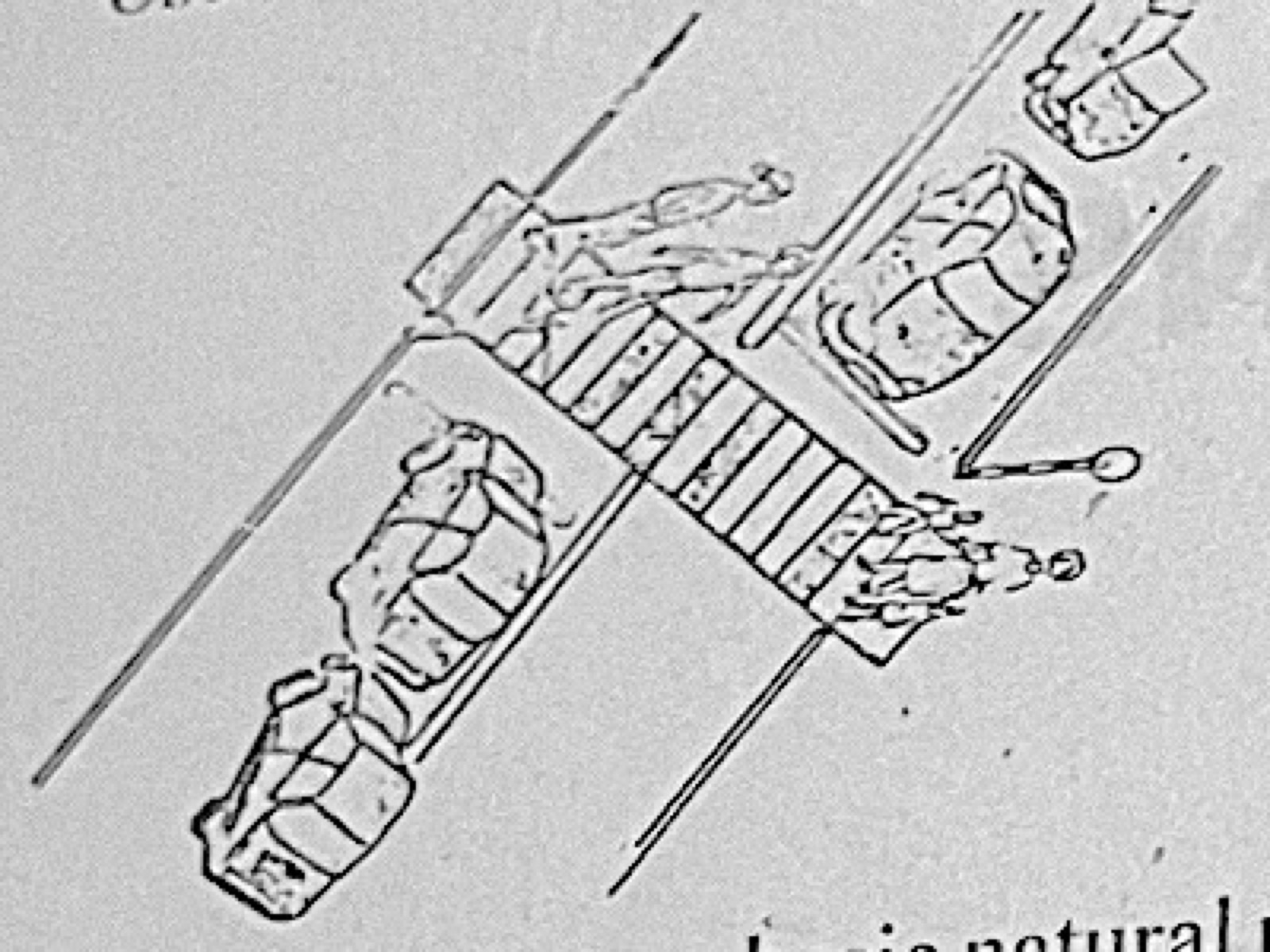 Diagram for this question