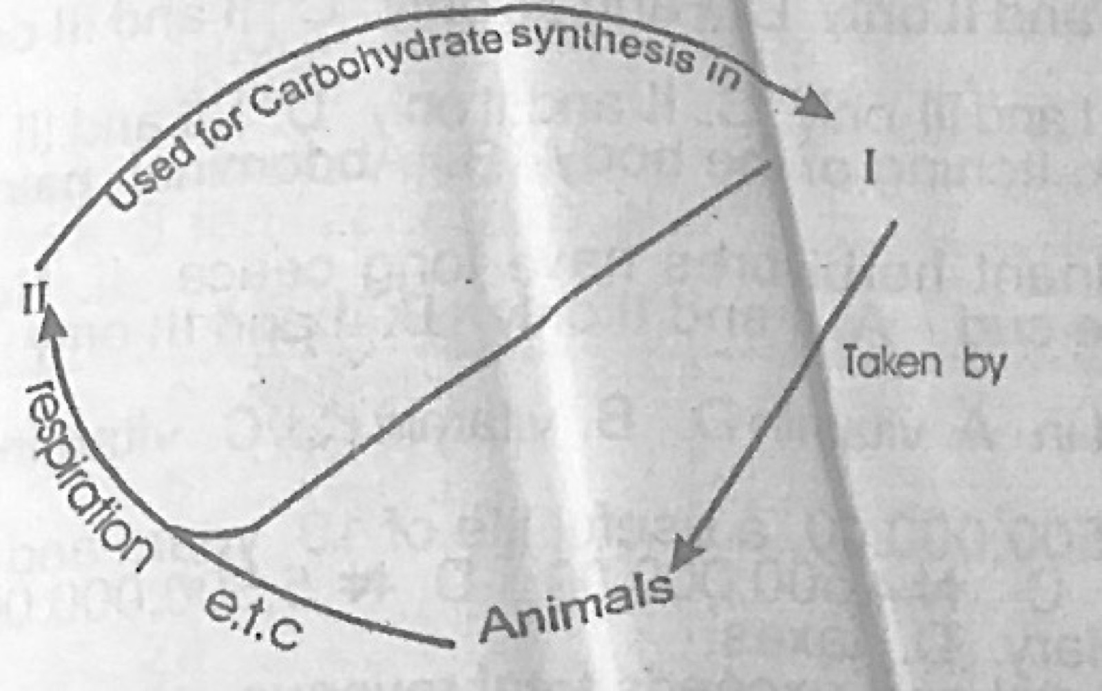 Diagram for this question
