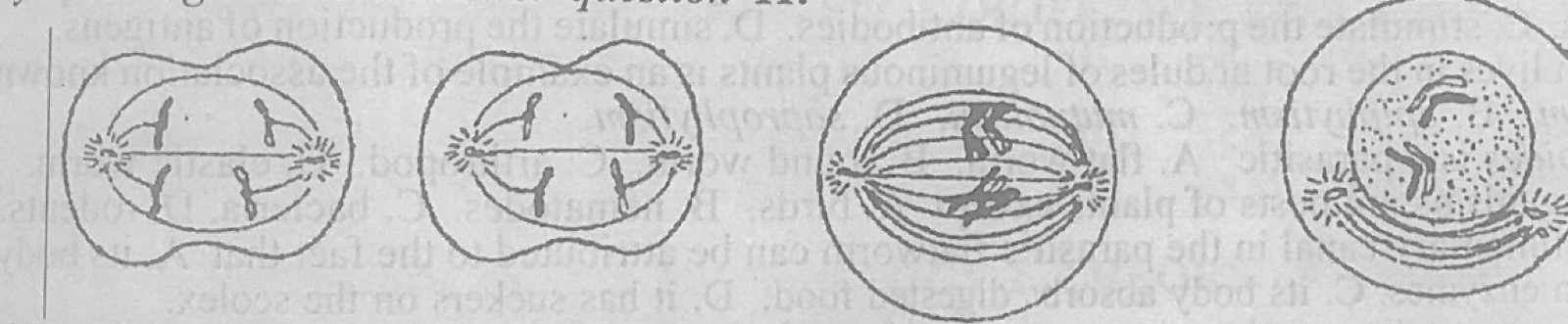 Diagram for this question
