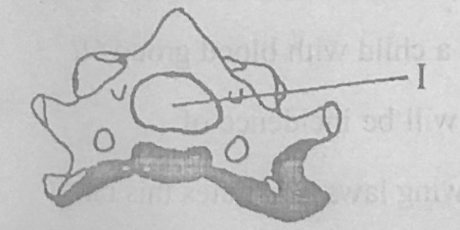 Diagram for this question