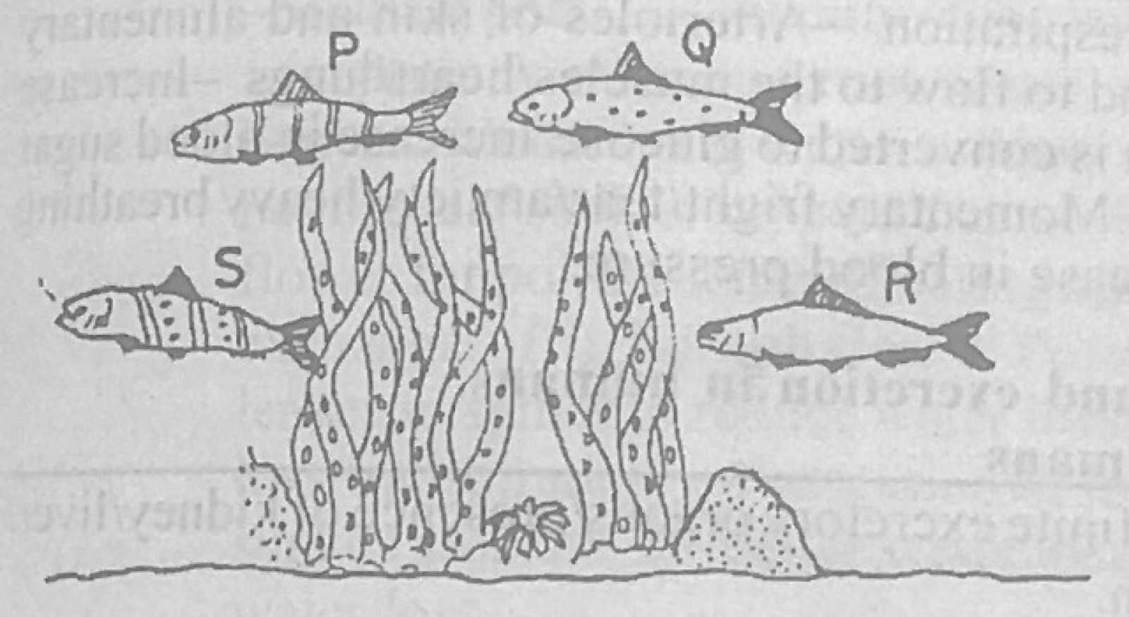 Diagram for this question