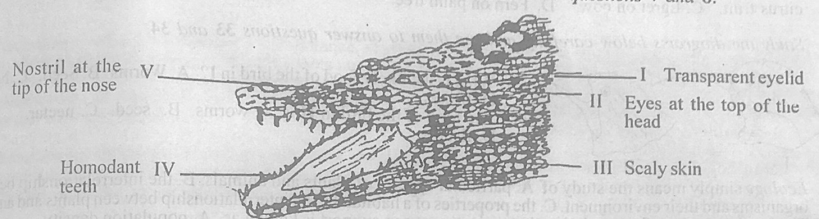 Diagram for this question