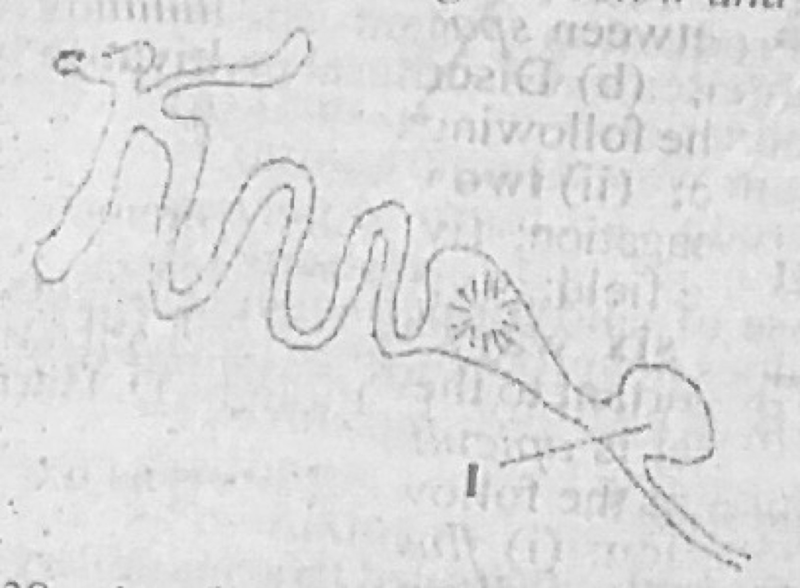 Diagram for this question