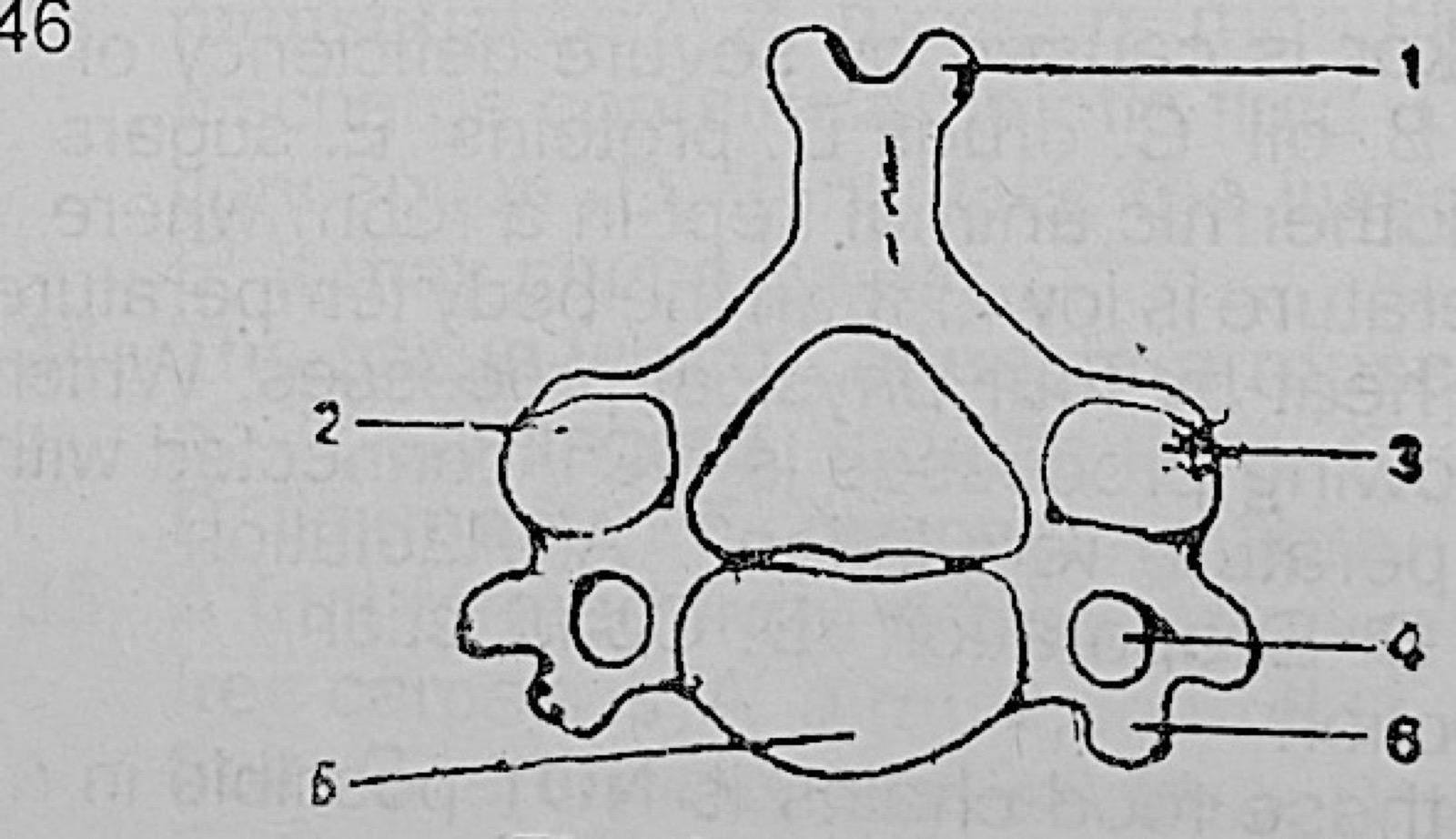 Diagram for this question