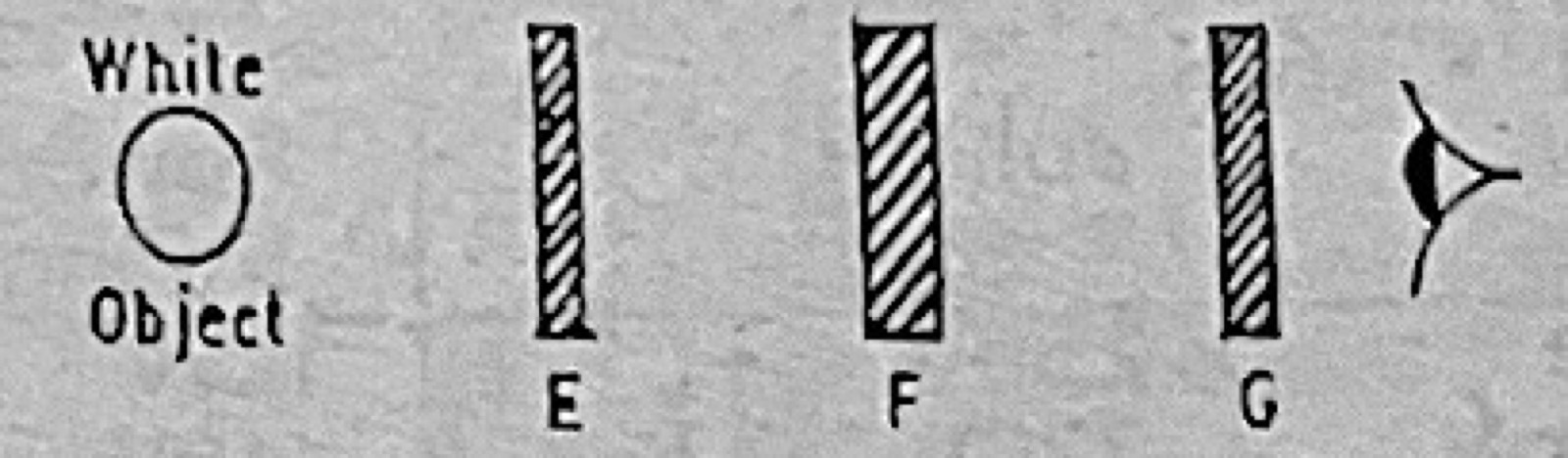 Diagram for this question