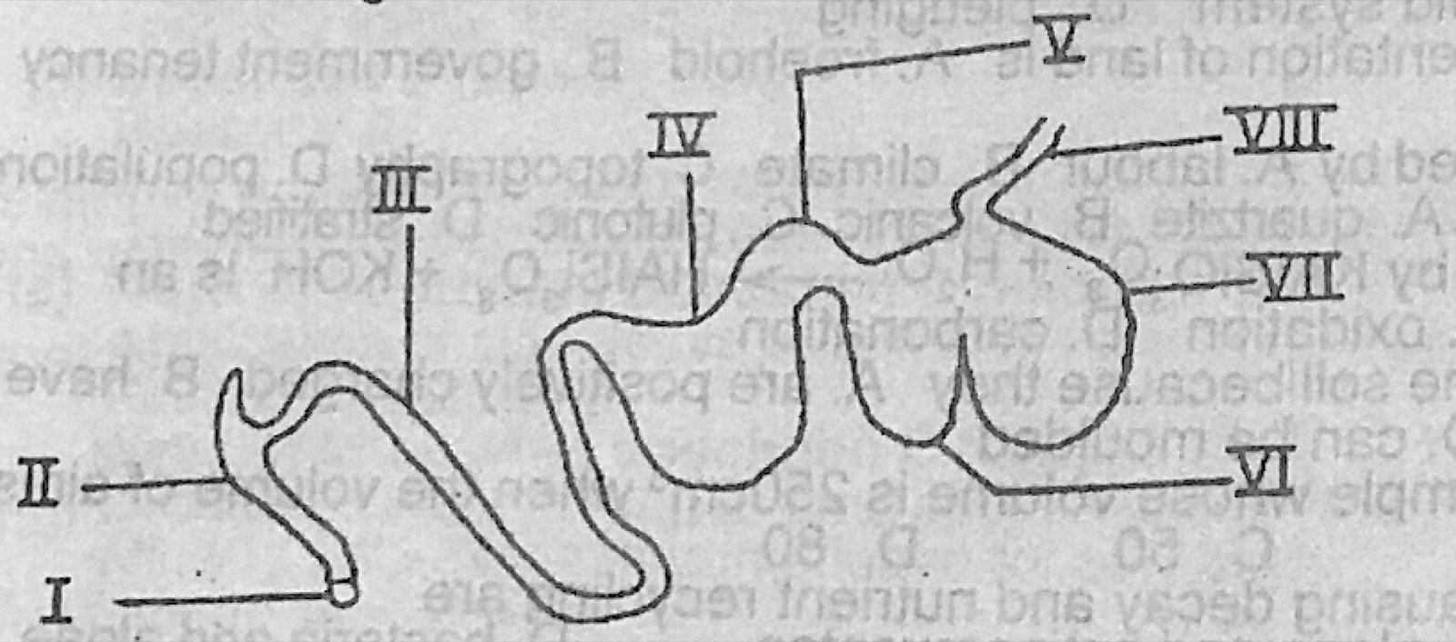 Diagram for this question