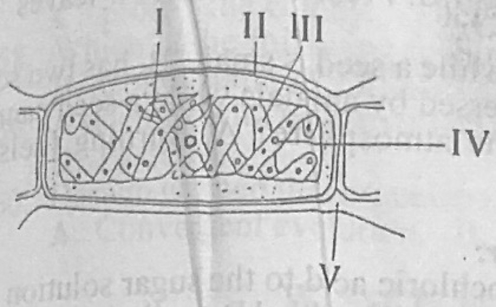 Diagram for this question