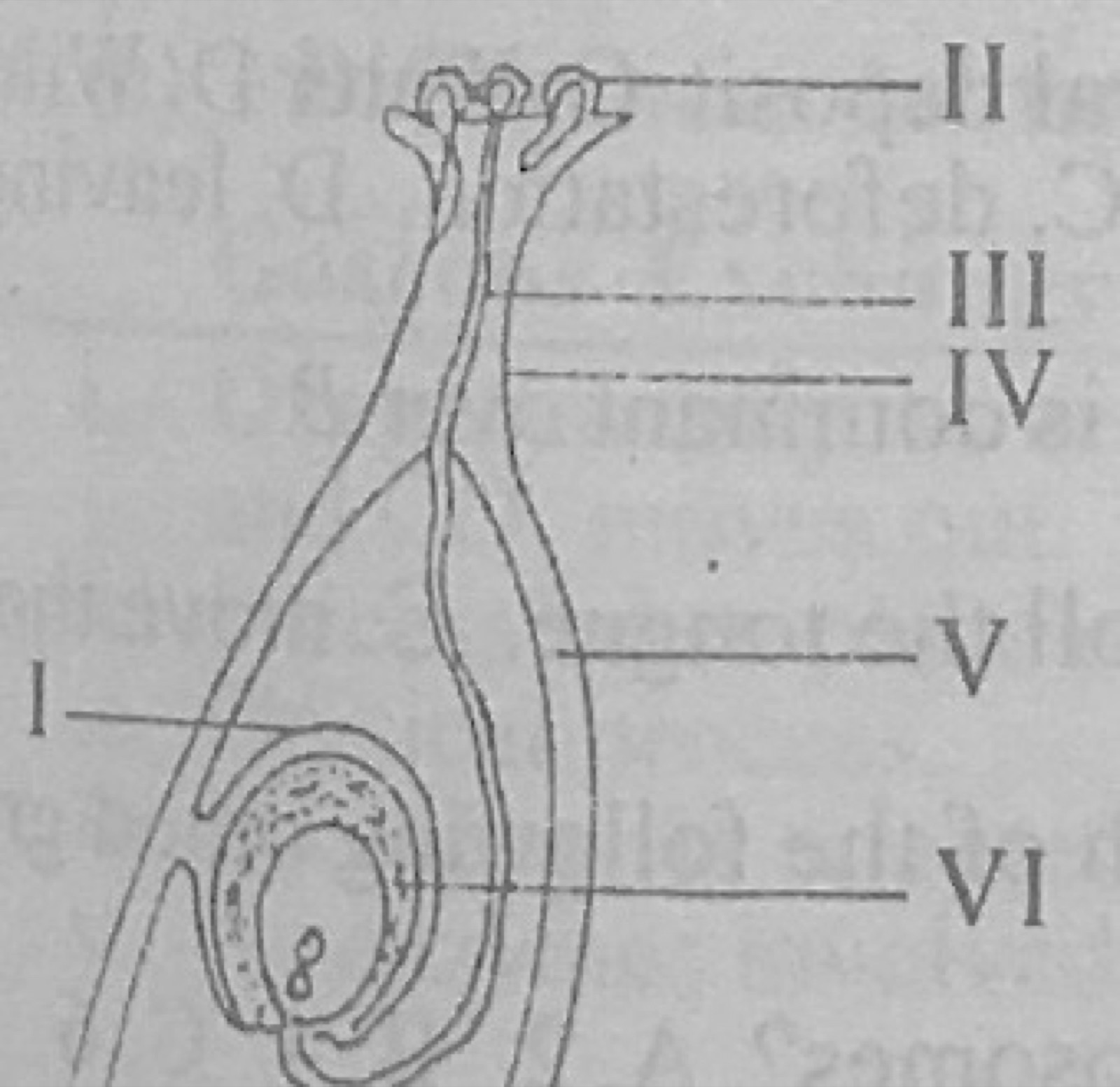 Diagram for this question