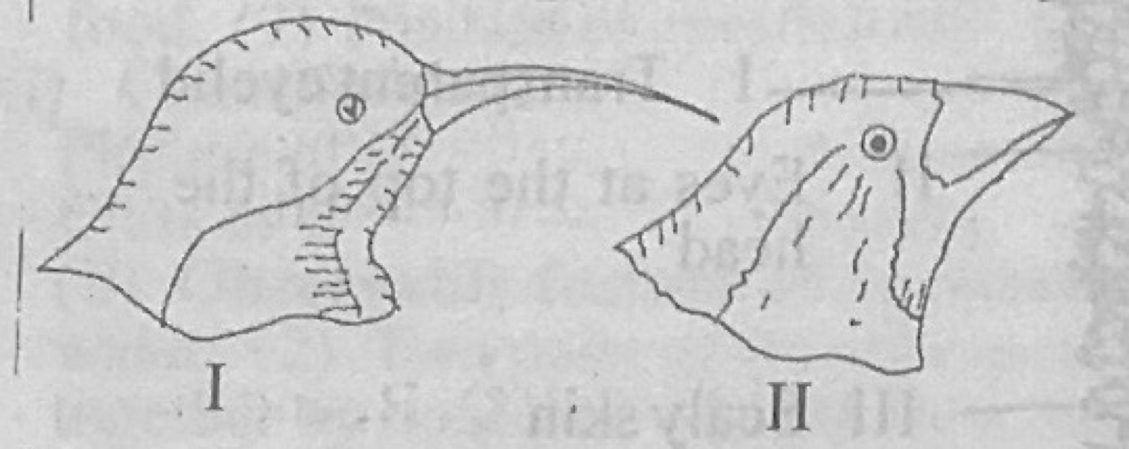Diagram for this question