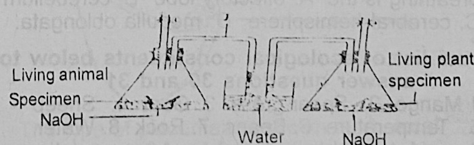 Diagram for this question