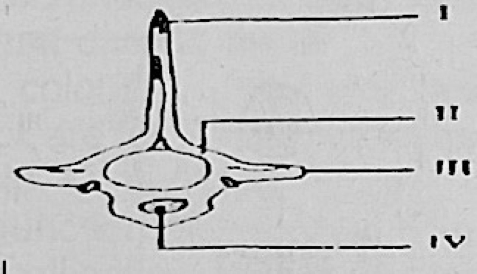 Diagram for this question