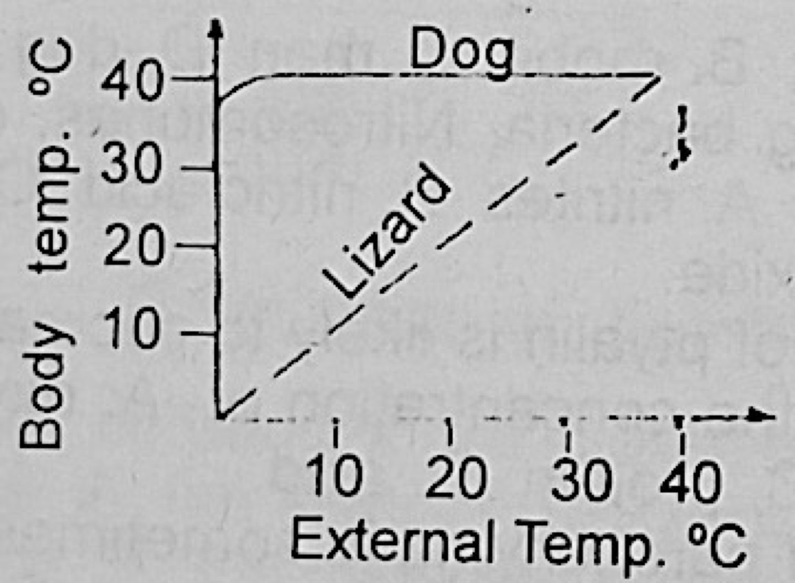 Diagram for this question