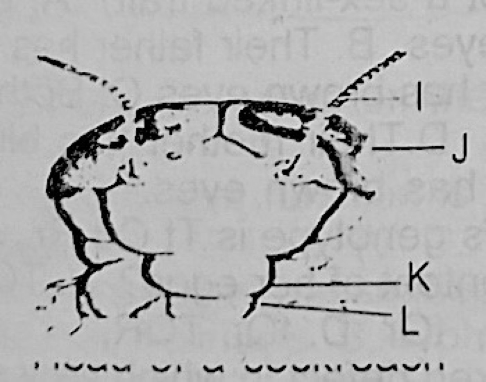Diagram for this question