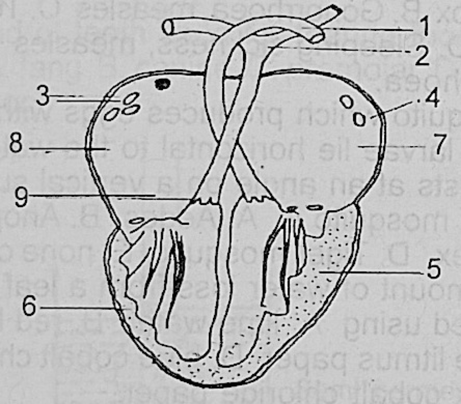 Diagram for this question
