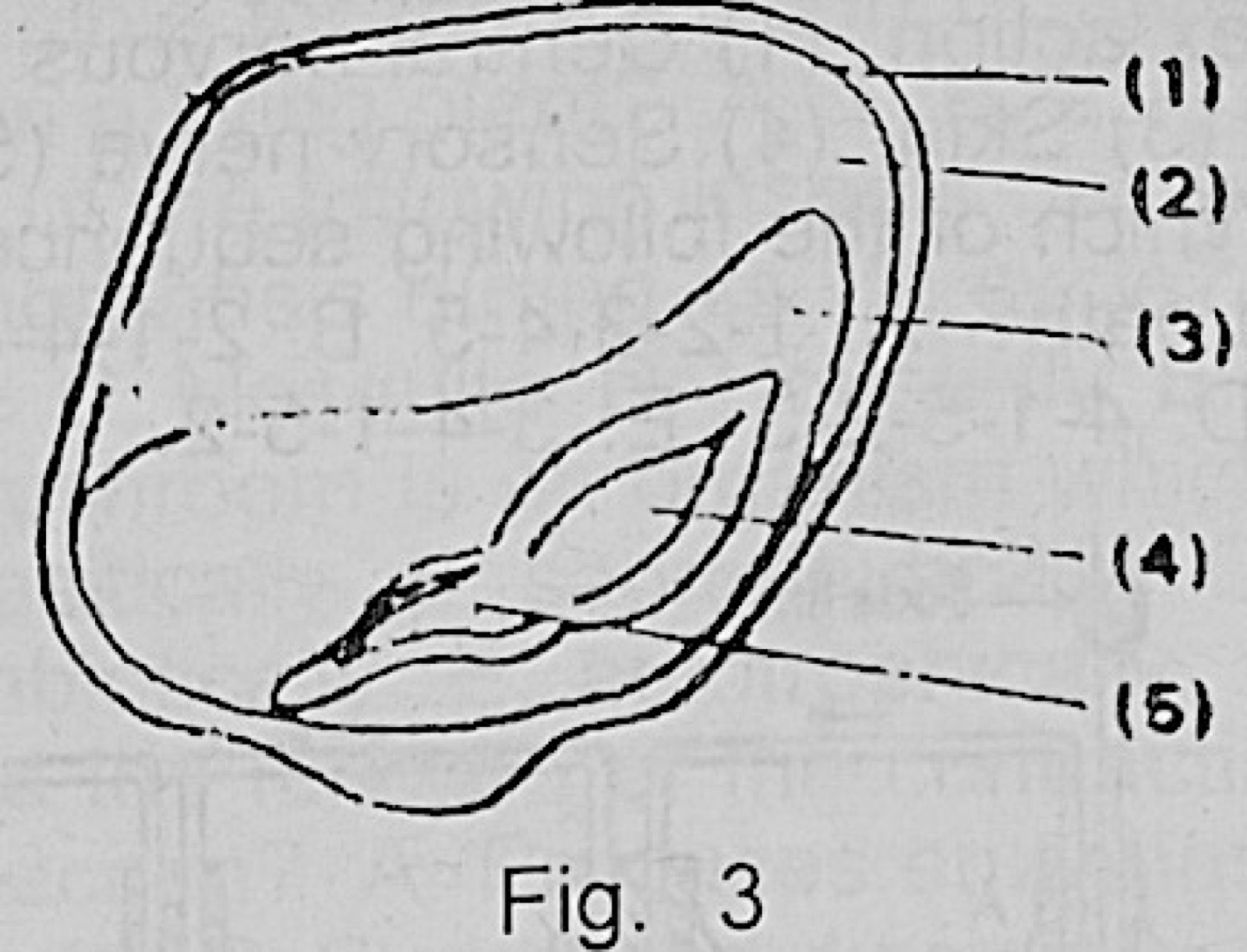 Diagram for this question