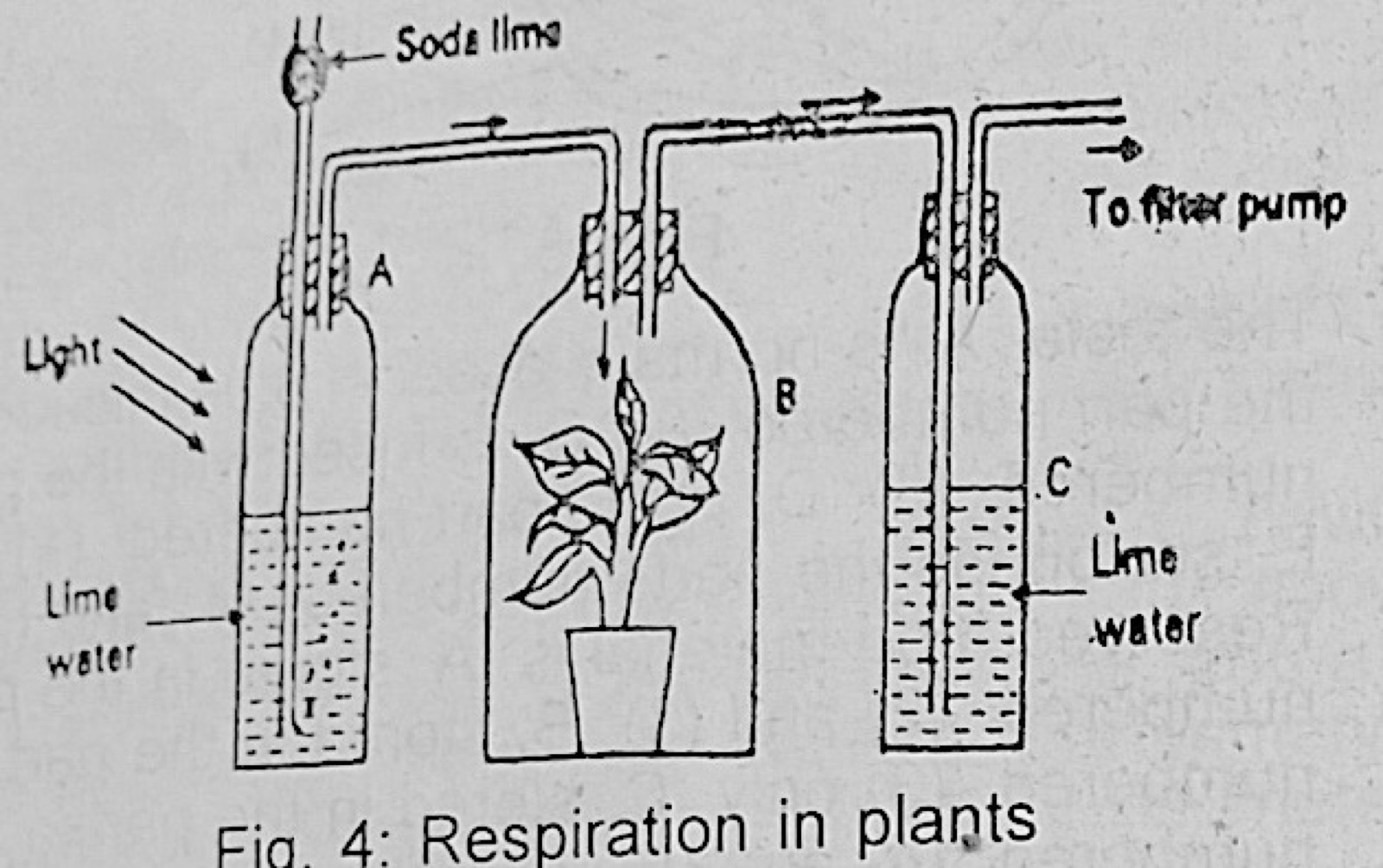 Diagram for this question