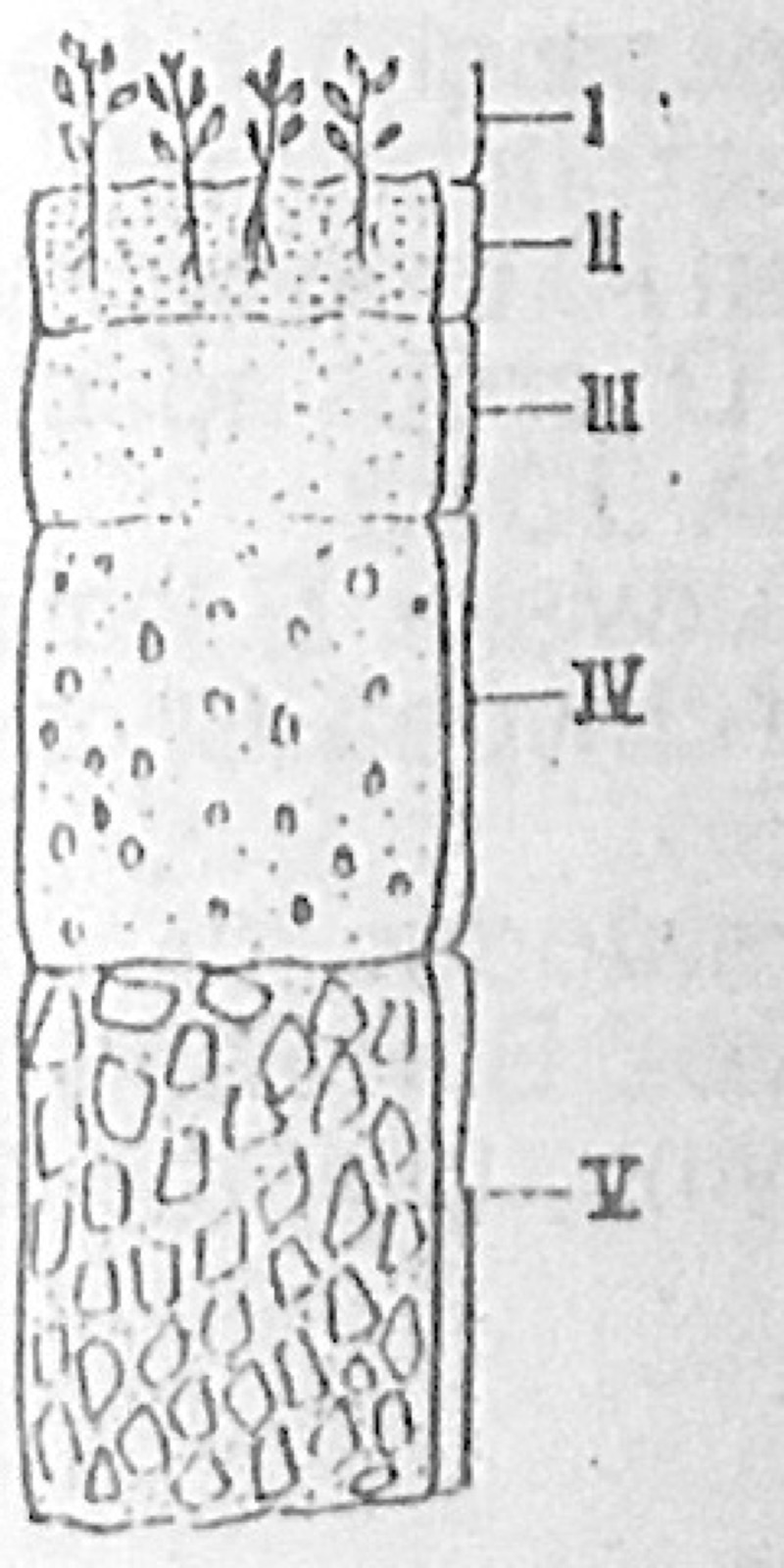 Diagram for this question