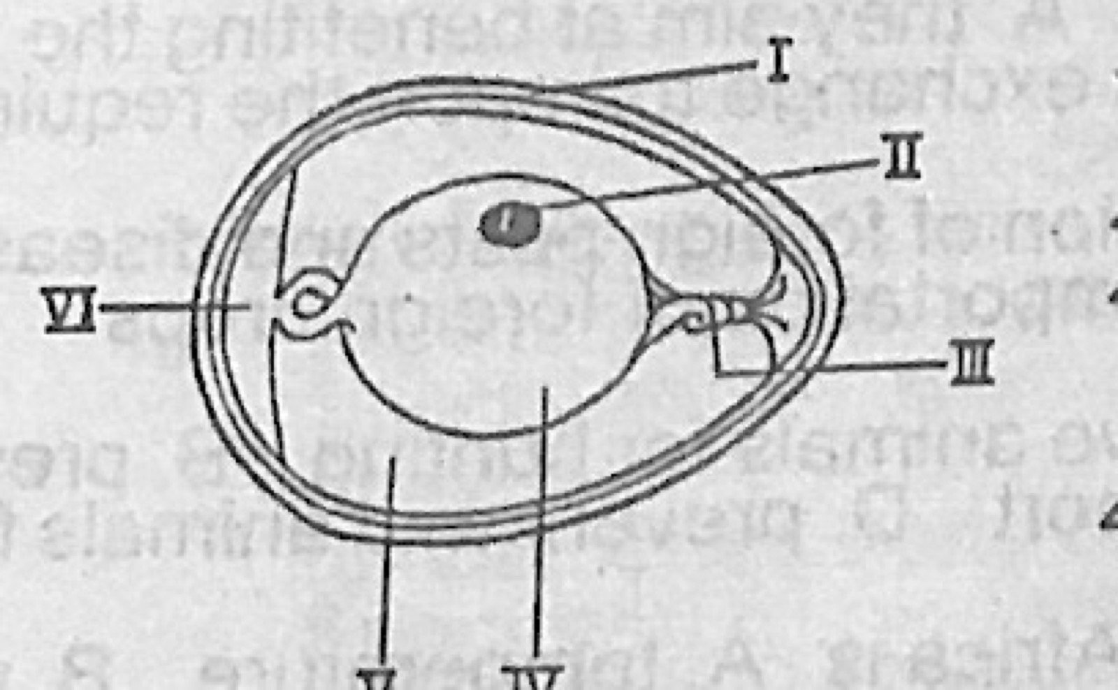 Diagram for this question
