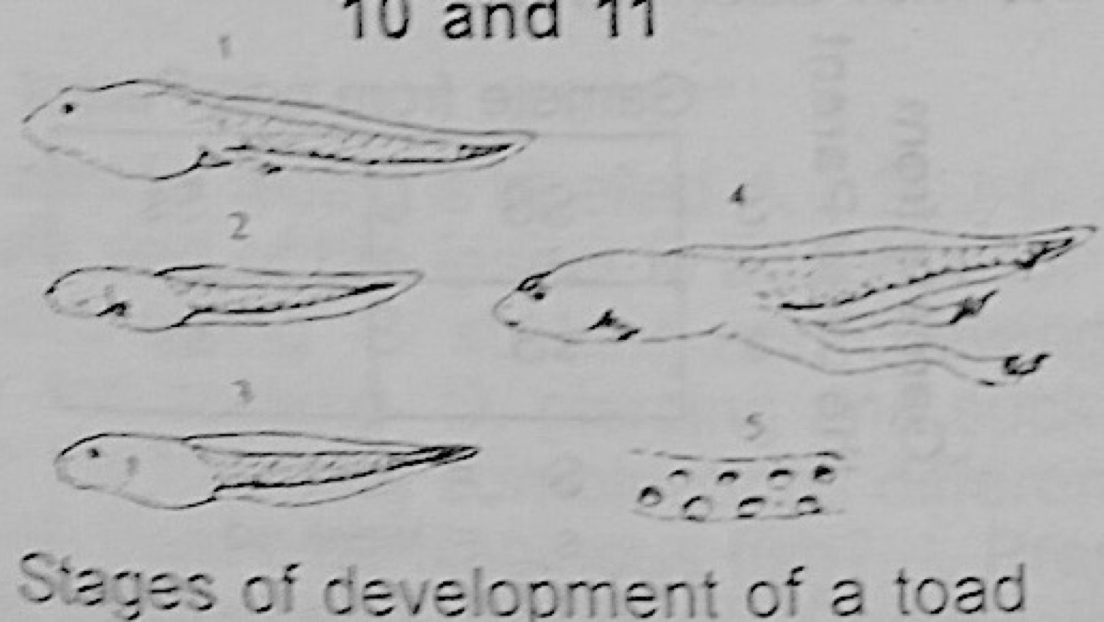 Diagram for this question