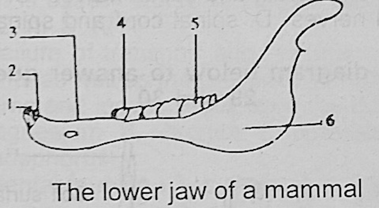 Diagram for this question