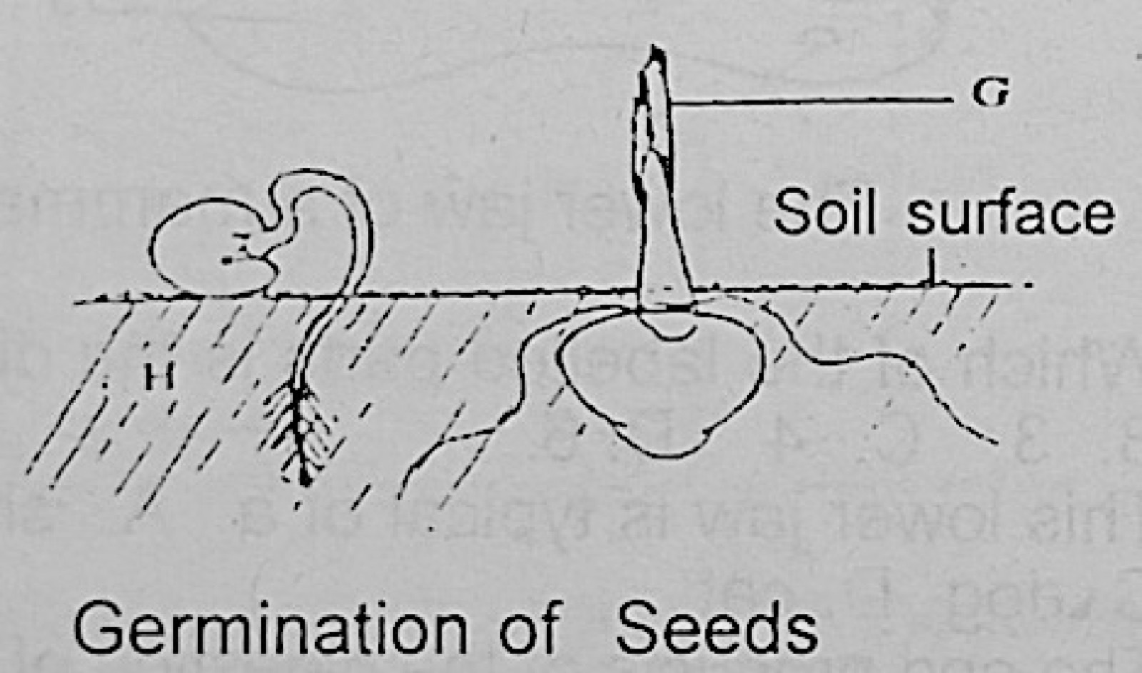 Diagram for this question