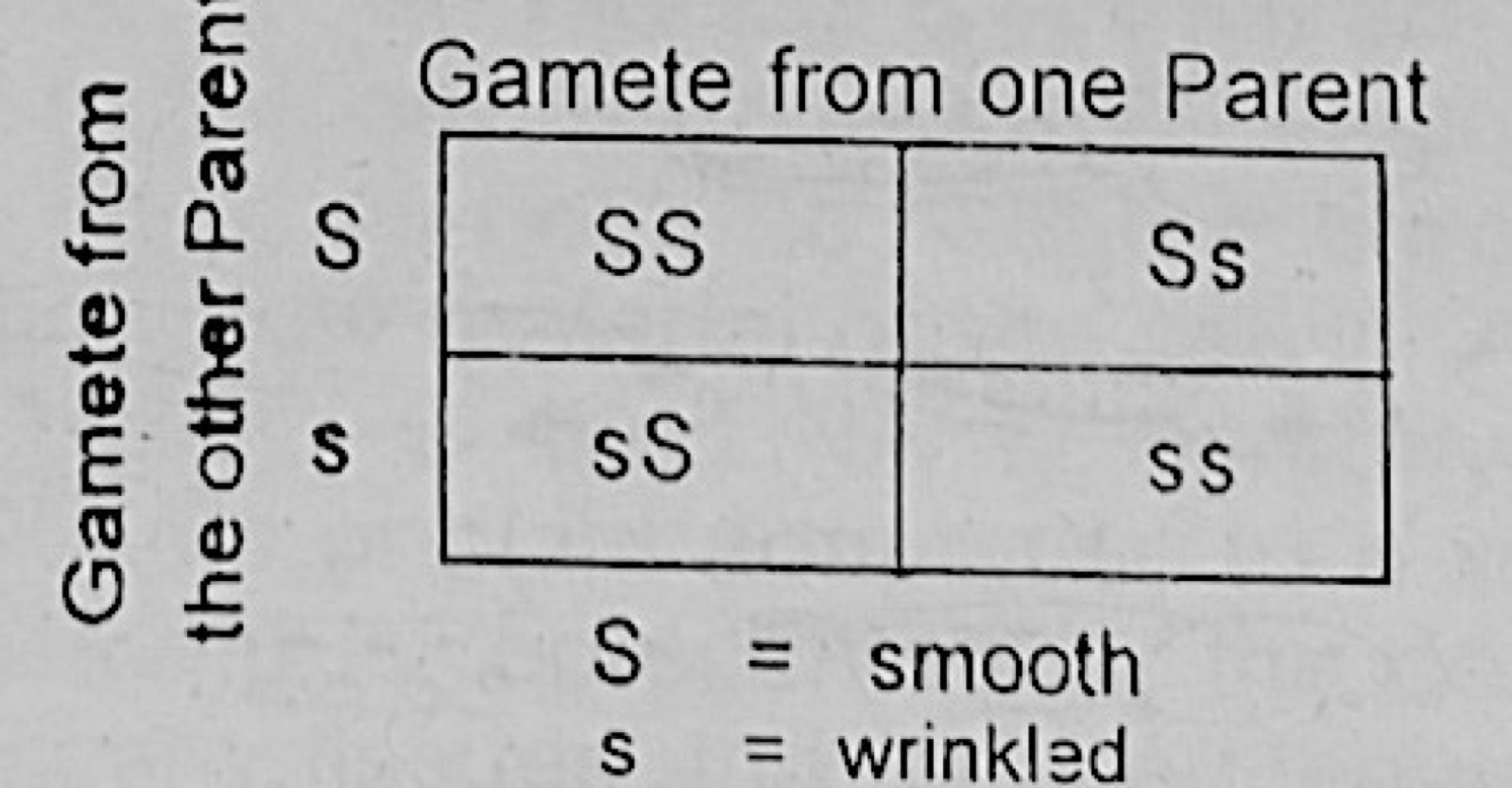 Diagram for this question