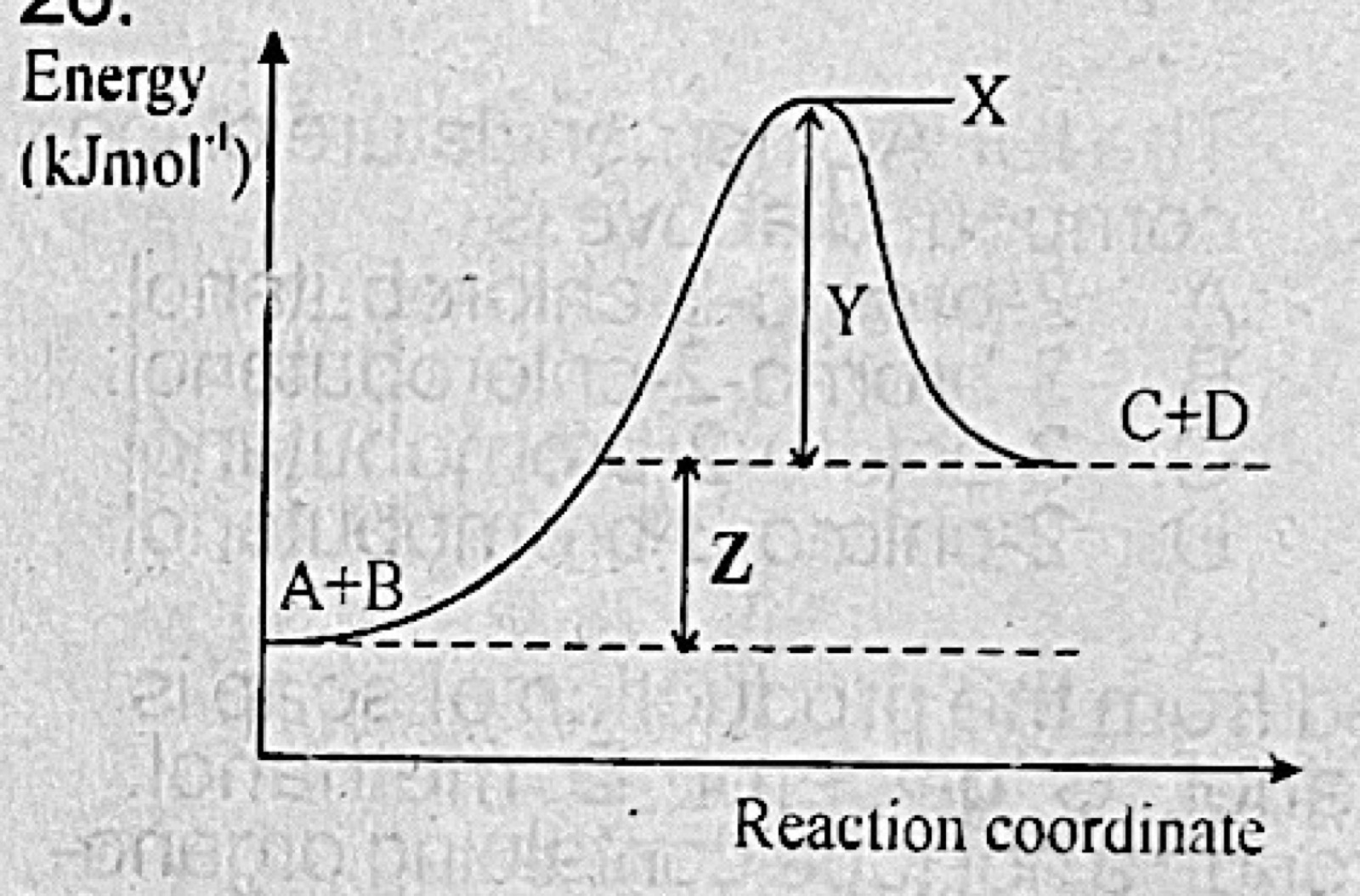 Diagram for this question