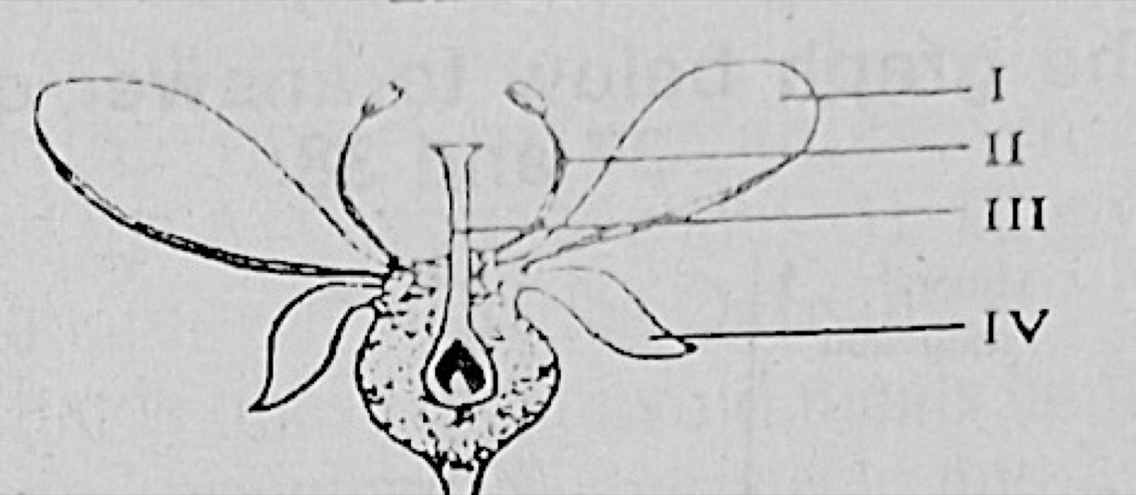 Diagram for this question