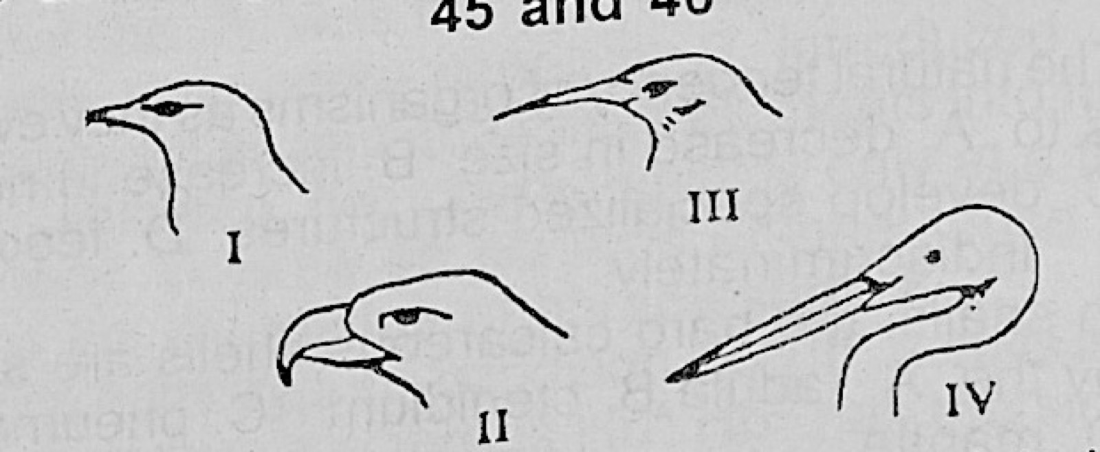 Diagram for this question