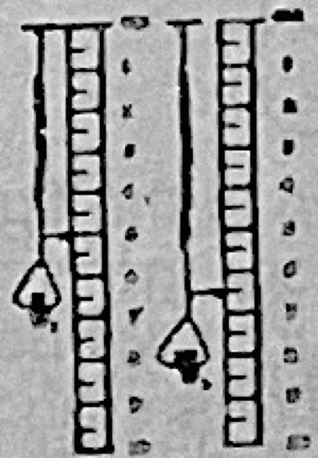 Diagram for this question
