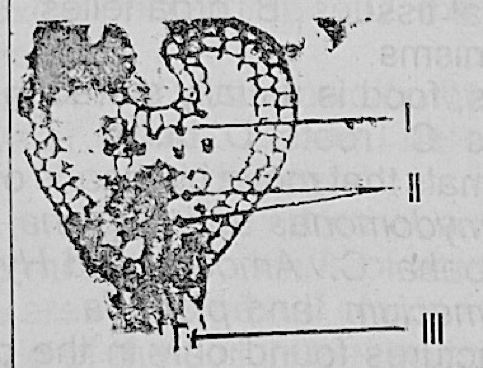 Diagram for this question