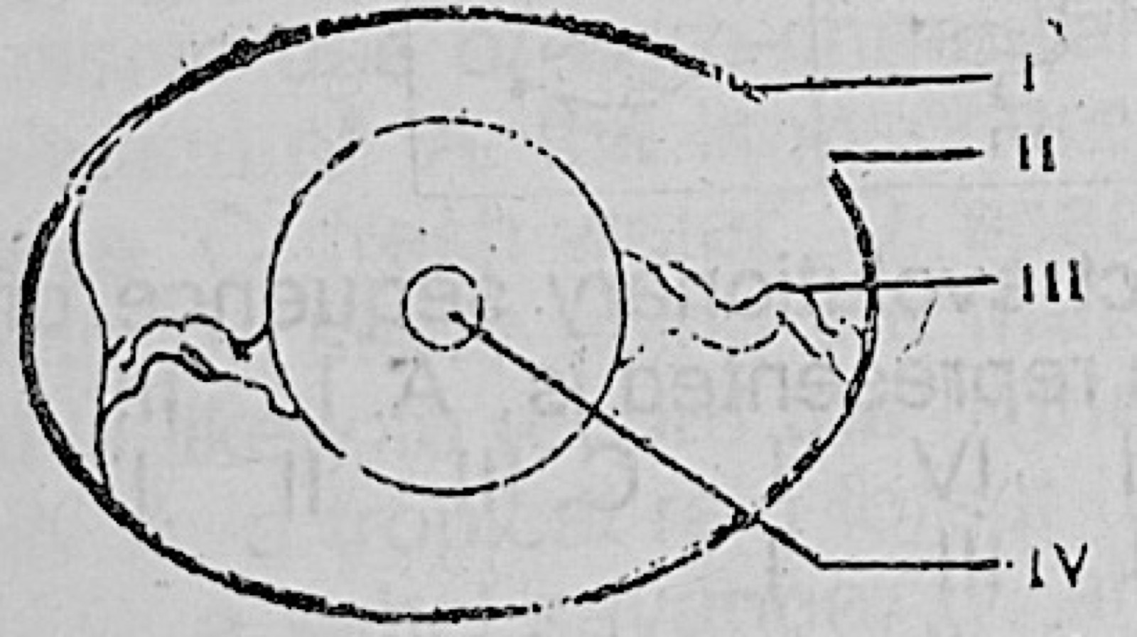 Diagram for this question