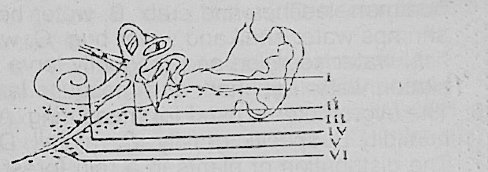 Diagram for this question