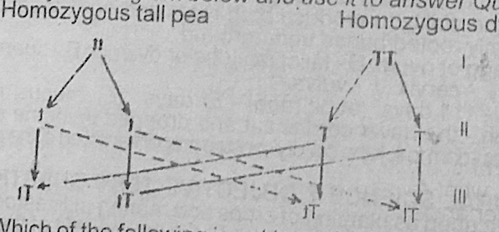 Diagram for this question