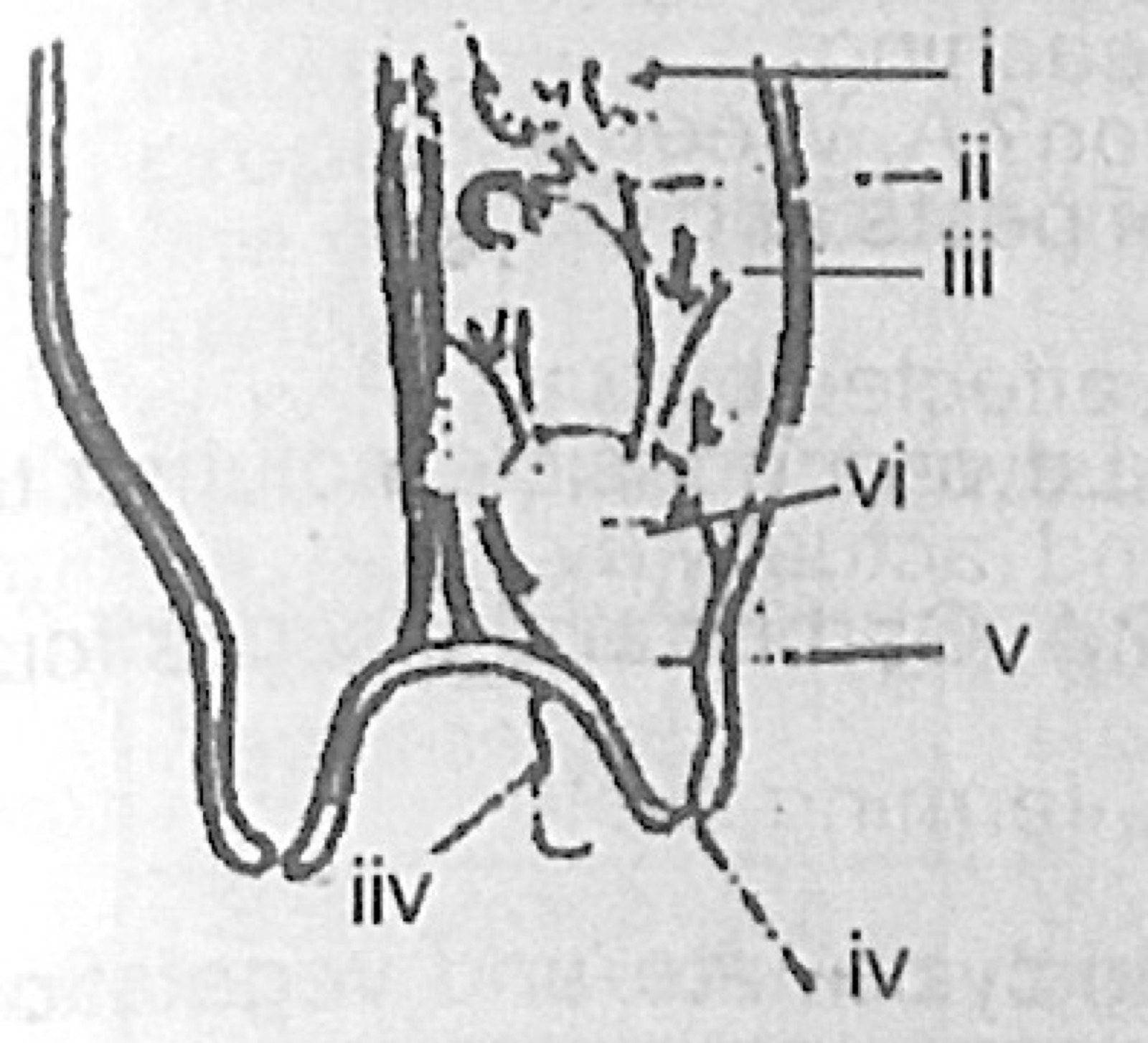 Diagram for this question